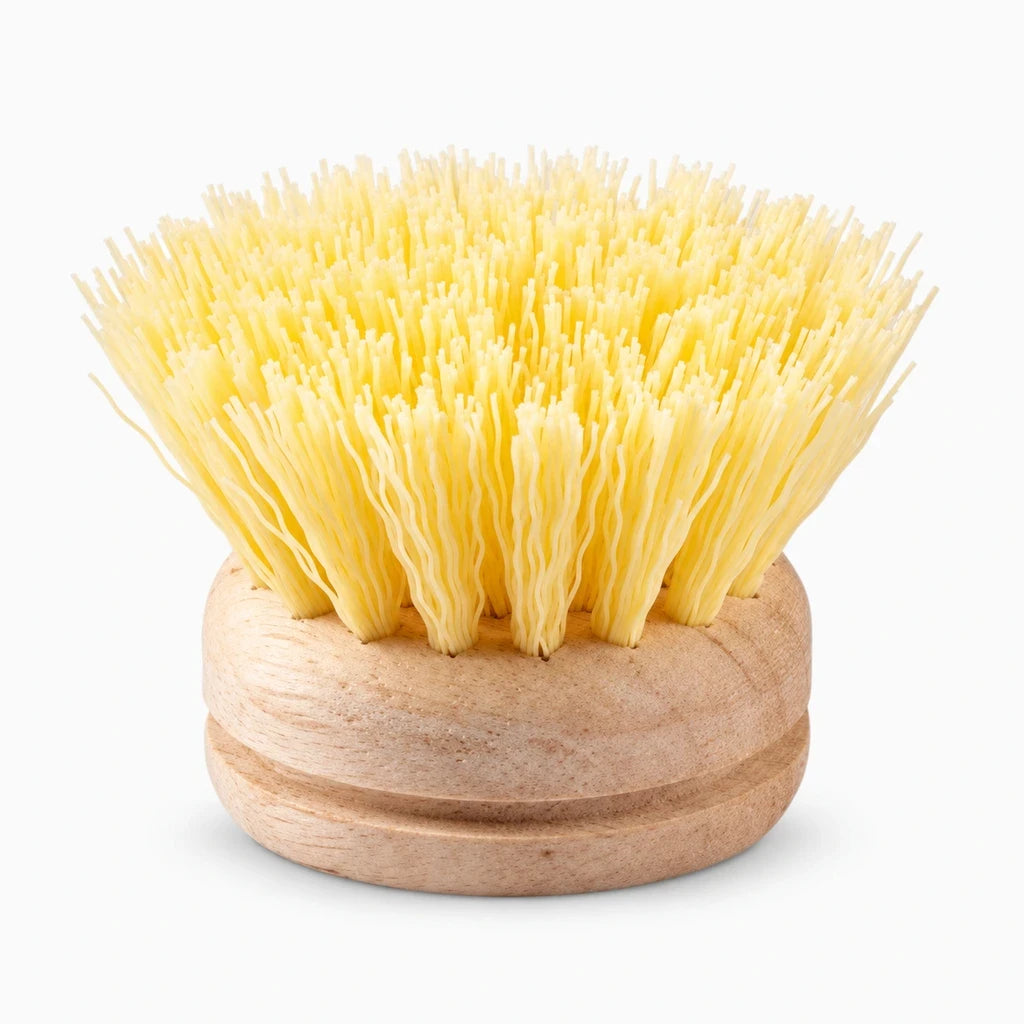Sélection de brosses cuisine avec différentes matières de poils pour chaque besoin de nettoyage